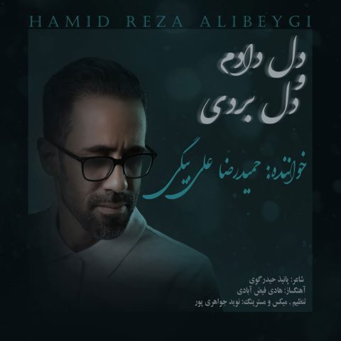 دانلود آهنگ حمیدرضا علی بیگی دل دادم و دل بردی